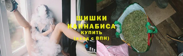 стаф Волосово