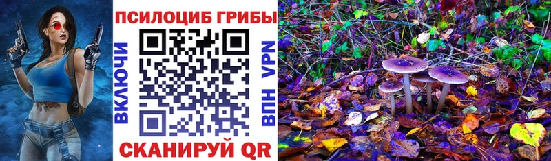 Псилоцибиновые грибы Psilocybe Заволжск