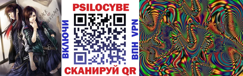 Псилоцибиновые грибы Psilocybine cubensis  купить наркотики сайты  darknet формула  Заволжск 